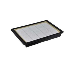 Filtre HEPA lavable pour aspirateur BOSCH SPHERA