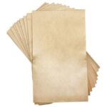 Sacs aspirateur SHG AB650 - Lot de 10 sacs en Papier