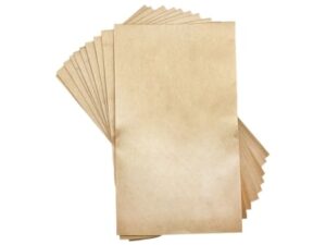 Sacs aspirateur PHILIPS HR6104 à HR6118 - Lot de 10 sacs en Papier