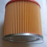 Filtre pour aspirateur EXPRESS LAVAMAGIC