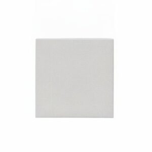 Microfiltre aspirateur ELECTROLUX ULTRA SILENCER (SERIE) Z 3300 à Z 3395 - Universel, 125 x 125 mm