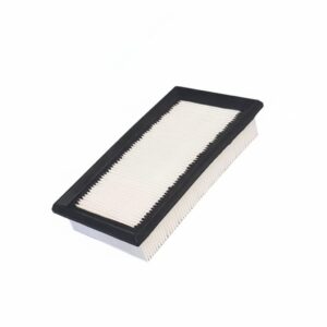 Filtre aspirateur NILFISK WD 200 - Plissé plat, 213 x 116 mm